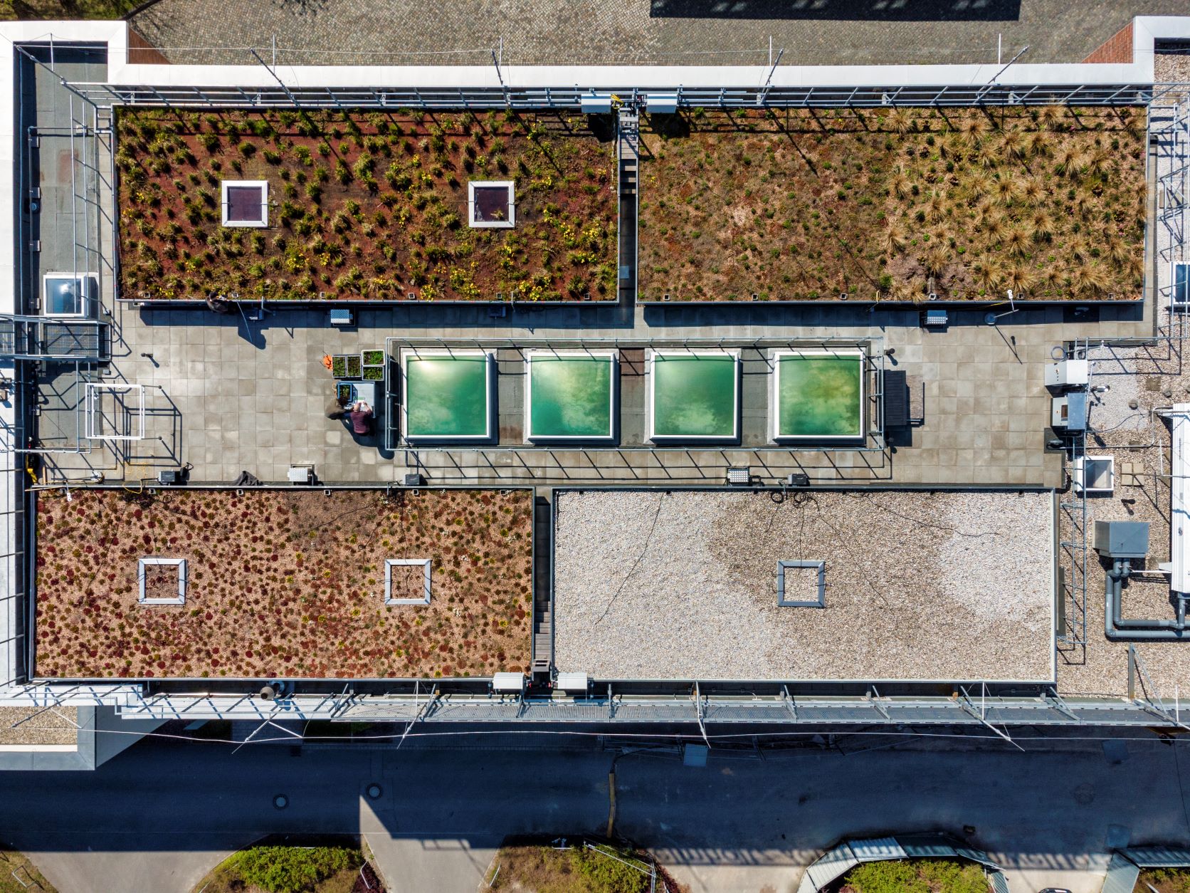 A bird's eye view of the Research Green Roof (Photo: A. Künzelmann, UFZ) A bird's eye view of the Research Green Roof (Photo: A. Künzelmann, UFZ)